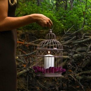 Decorative lavender bird cage